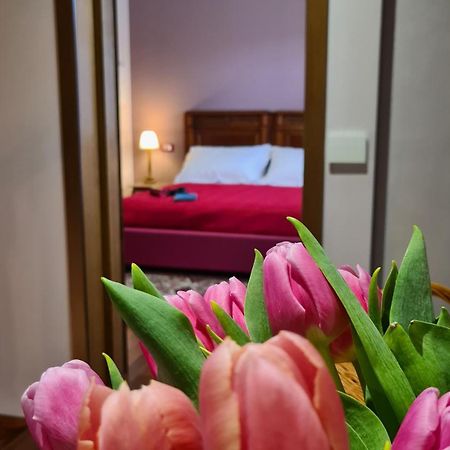 Zi Bitta - Guest House ปัลมาโนวา ภายนอก รูปภาพ